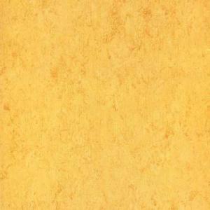 FP6612-Plank
