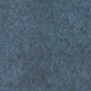 FP6681-Plank