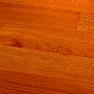 EXS-JATOBA5 Sold Out